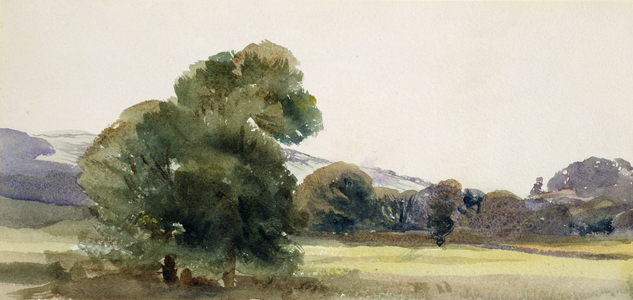 Trees in a Field (w/c on paper)