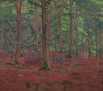 A Beech Wood (oil on canvas)
