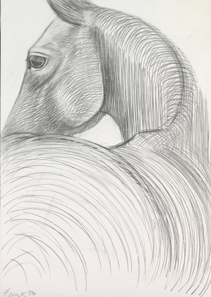 Horse Study, 1984 (pencil on paper)