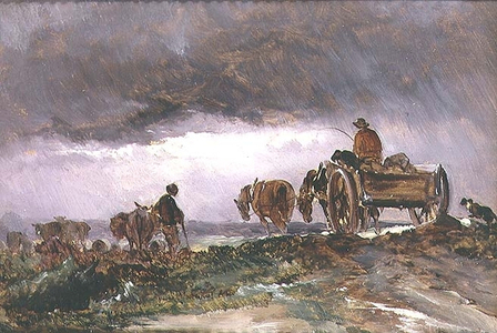 Storm on the Heath