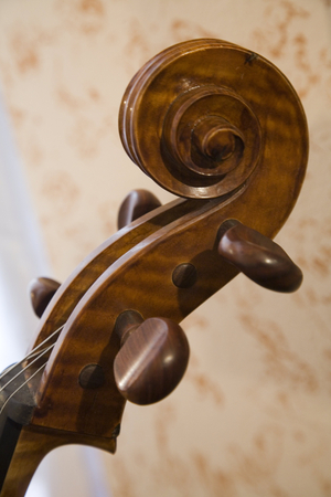 Violin making workshop in Cremone (photo)