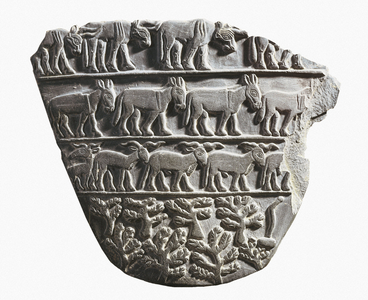 commemorative palette: reverse of the palette of Djehenou (or Tehenu), beg of the dynastic period (34th century BC).