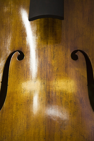 Violin making workshop in Cremone (photo)