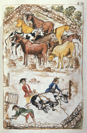Indian Guardians of Cows, from the book "Trujillo del Peru" or "Códice Martínez Compañón", by Baltazar Martinez Compañón y Bujanda, bishop of Trujillo (1782-1785), 18th century (watercolour)