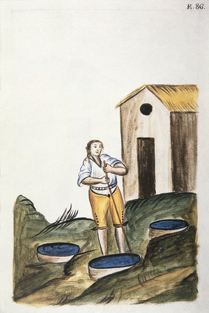 Blue dye tray used to dye wool, from the book "Trujillo del Peru" or "Códice Martínez Compañón", by Baltazar Martinez Compañón y Bujanda, bishop of Trujillo (1782-1785), 18th century (watercolour)