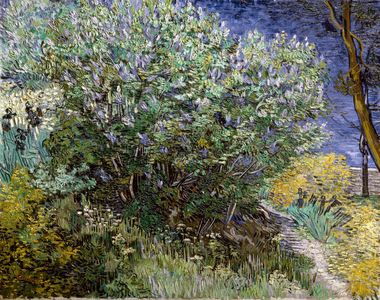 Le buisson de lilas. Vincent VAN GOGH (1853-1890), 1889 Huile sur toile Musee de l'Ermitage.