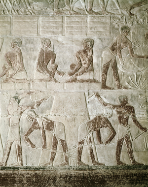 Wheat harvest, from the Mastaba of Mereruka, Old Kingdom (wall painting)