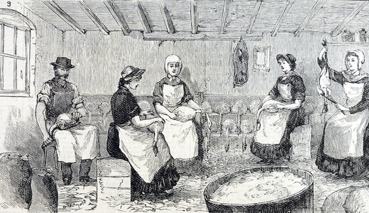ENGLAND (1887). A poultry farm. Women plucking the chickens dead by the farmer. Engraving ©Lorio/Iberfoto/Leemage