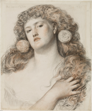 Red Rose and White, 1867 (chalk on paper)