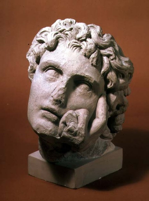Head of a youth (marble)