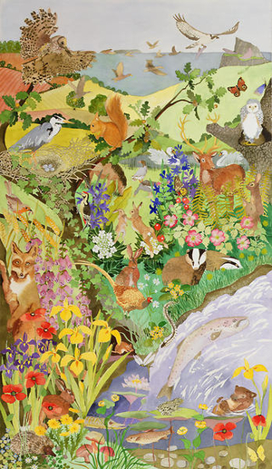 British Wildlife, 2000 (w/c on paper)