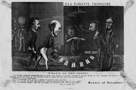 Old Elective Franchise, what's on the cards? : beware of November!, c. 1868 (litho)