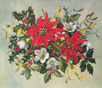 PB/274 Christmas Flowers