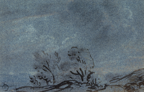 Landscape Study
