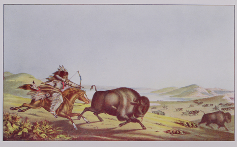 Hunting the Buffalo, illustration from 'The Indian Tribes of North America, Vol.2', by Thomas L. McKenney and James Hall, pub. by John Grant (colour litho)