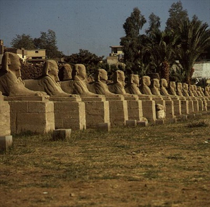 Avenue of Sphinxes, added by Nectanebo I (380-362 BC) Late Period (photo)