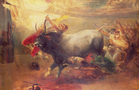 The Bull Fight