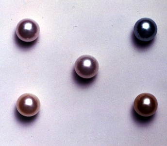 Selection of different shaped cultured pearls (photo)