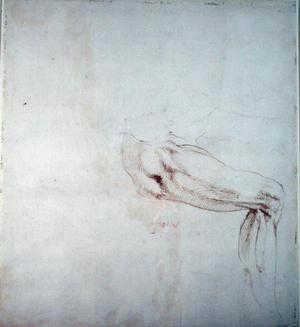 Study of a Leg with Notes (brown ink on paper) (recto)