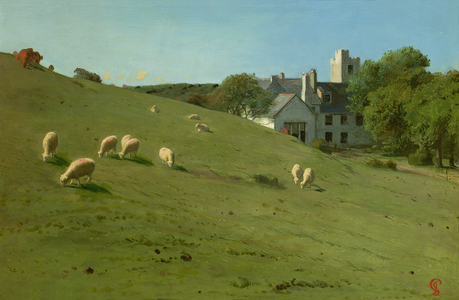 Sheep on a Hillside