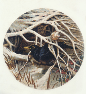 Blackbird and Thrush in covert after Harrison Weir, Illustrated London News Christmas Supplement, 1859