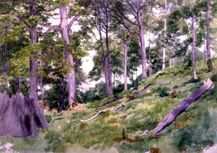 Clearing in the Woods near Ludlow, 19th century (watercolour)