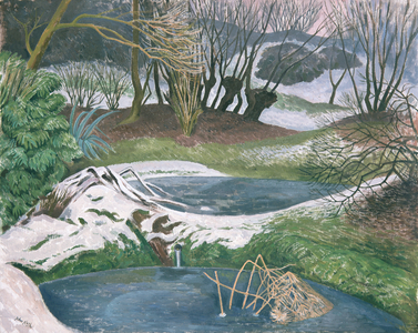 Frozen Ponds