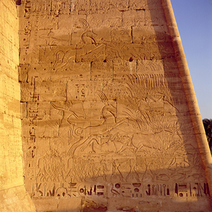 Ramesses III (c.1184-1153 BC) hunting wild bulls from the First Pylon of the Temple of Ramesses III, relief, New Kingdom (photo)