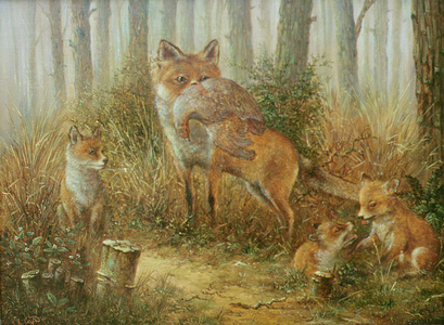 Vixen and cubs