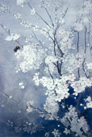 Plum Blossom (w/c on paper)