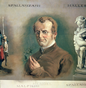 Portrait of Gregor Johann Mendel (1822-84), Austrian Scientist (oil on canvas)