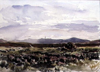 On the Hills, Dolwyddelan, North Wales