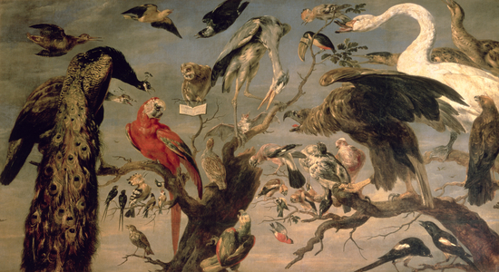 The Bird's Concert (oil on canvas)