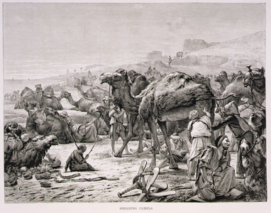 Shearing Camels, 19th century (engraving on paper)