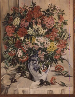 Australian Wildflowers