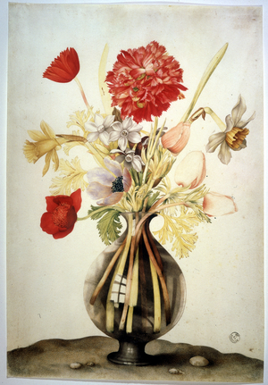 Eyelets and poppies