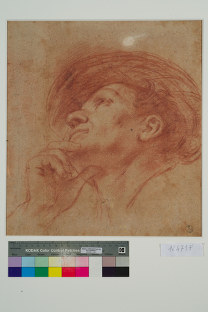 Study for the Head of the Prophet Haggai (red chalk on paper)
