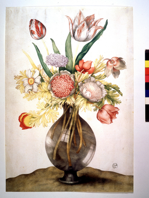 Pavots, tulipes et pivoine. Huile sur toile de Giovanna GARZONI (1600-1670). Cabinet des dessins et estampes, gallerie des Offices à Florence.