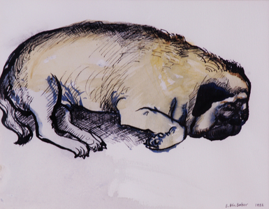 Hogarth Sleeping, 1982 (pen & ink with w/c on paper)