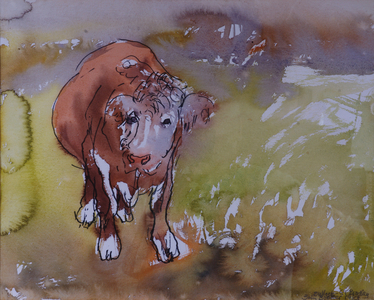 The Bullock, 1983 (pen & ink with w/c on paper)