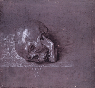 Study of a human skull, 1521 (pen & ink and chalk on paper)