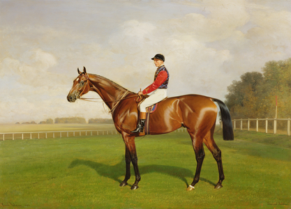 'Diamond Jubilee', Winner of the 1900 Derby, 1900 (oil on canvas) (detail of 188214)