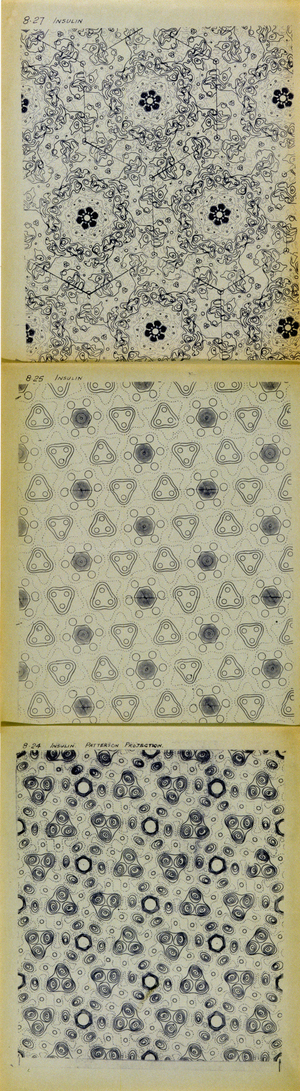 Die-Lines based on Insulin, as issued to the Festival Pattern Group in the late 1940's to help develop ideas for the Festival of Britain in 1951