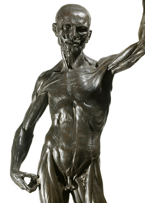 Lo spellato' (The bark) Bronze sculpture by Ludovico Cardi called Le Cigoli (1559-1613) Florence. Museo Nazionale del Bargello