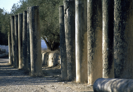 View of the ruins of the Acropolis site of Sebastia (Sebastia) Samaria 1970s
