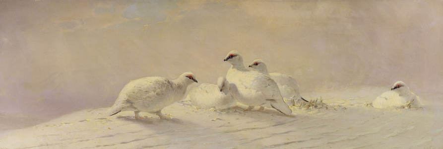 Ptarmigan - Winter, 1861 (oil on canvas)