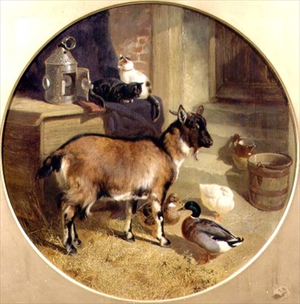 Nanny (oil on canvas)