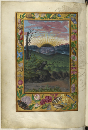 Ms Harley 3469, f.30v The Dark Sun, the Fifth Treatise, from 'Splendor Solis' by Salomon Trismosin, 1582 (vellum)