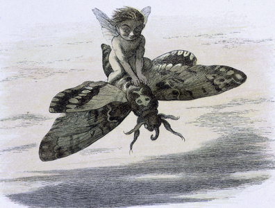 Water lilies and water fairies of the period', c1869-c1870. Here one of them is flying on the back of a butterfly. From ""In Fairy land. A series of pictures from the elf - world by Richard Doyle. With a poem by W Allingham."" (London, 1869-1870).