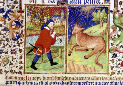 Calendar page (the month of April). Forester planting a tree and a bull. In “Bedford Hours,” by the Master of the Duke of Bedford. Paris, 1414-1423